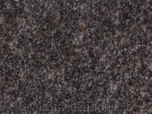 Indian Mahogany